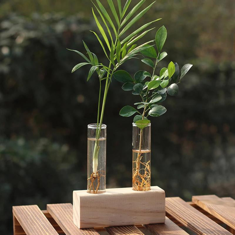Vintage Glass Terrarium for Hydroponic Planting with Wooden Stand