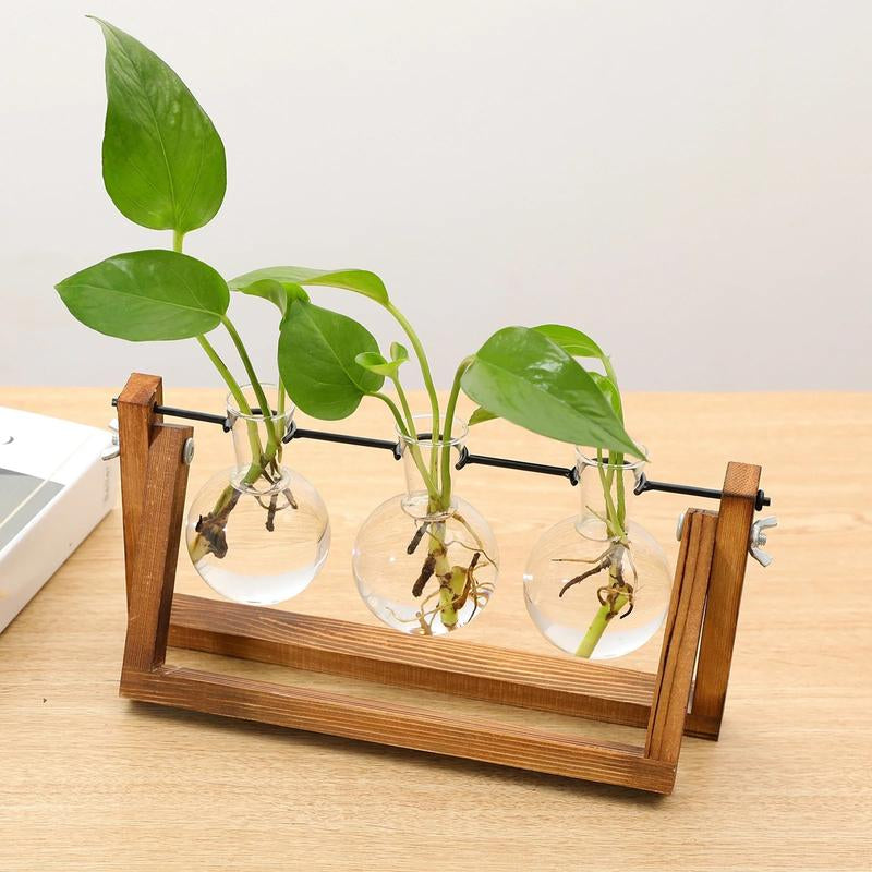 Vintage Glass Terrarium for Hydroponic Planting with Wooden Stand