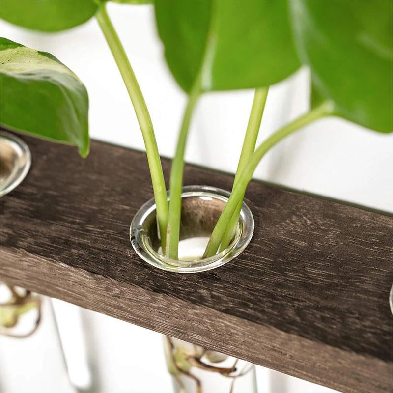 Three-Tier Hanging Plant Propagation Station, Glass Terrarium Vase, Decorative Wall Hanging Planter for Home, Office, and Garden