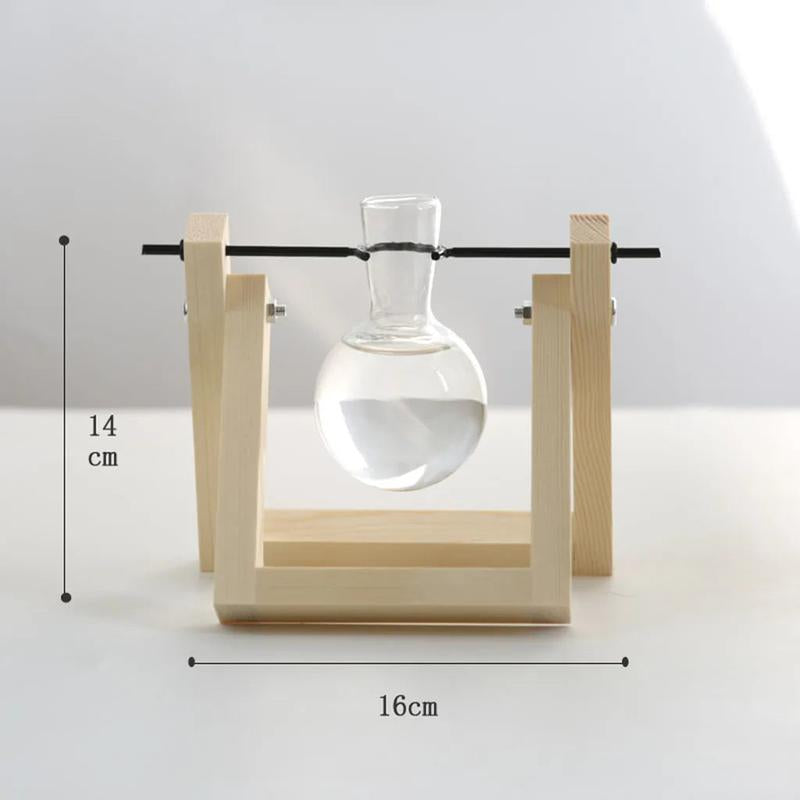 Vintage Glass Terrarium for Hydroponic Planting with Wooden Stand