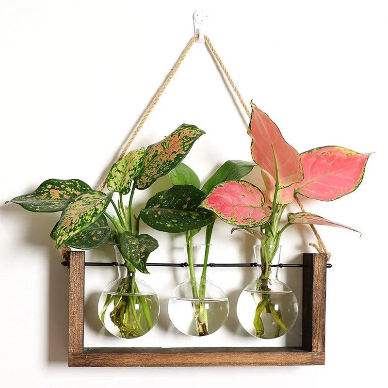 Vintage Glass Terrarium for Hydroponic Planting with Wooden Stand