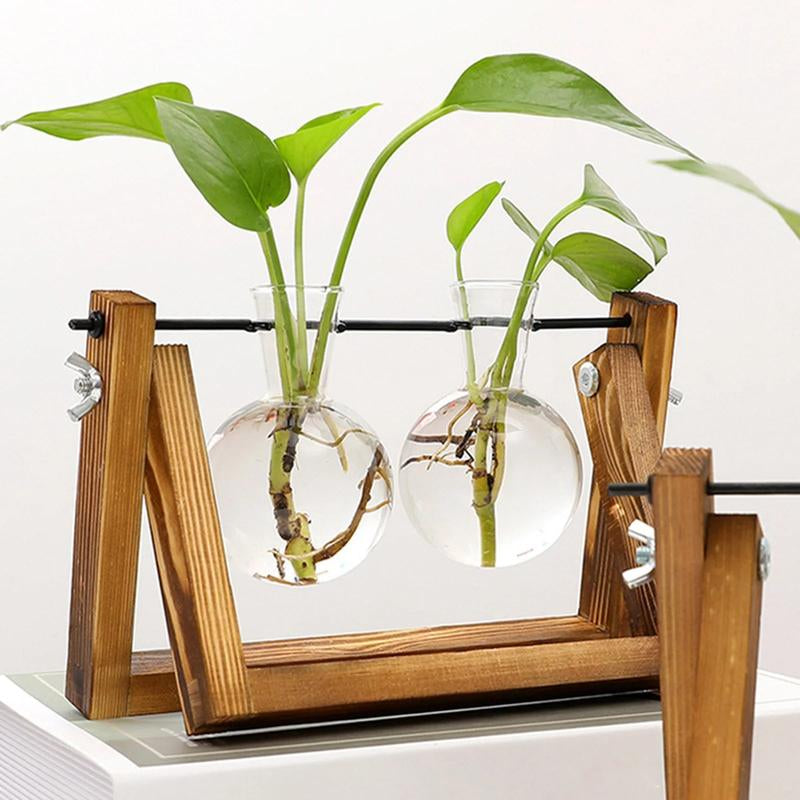 Vintage Glass Terrarium for Hydroponic Planting with Wooden Stand