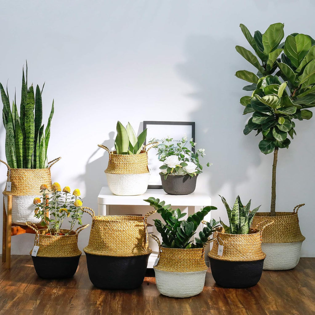 730202 Seagrass Plant Basket Set of 3 Hand Woven Belly Basket with Handles, Large Storage Laundry Picnic Plant Pot Cover Home Decor & Woven Straw Beach Bag (M+L+XL, Original+White)