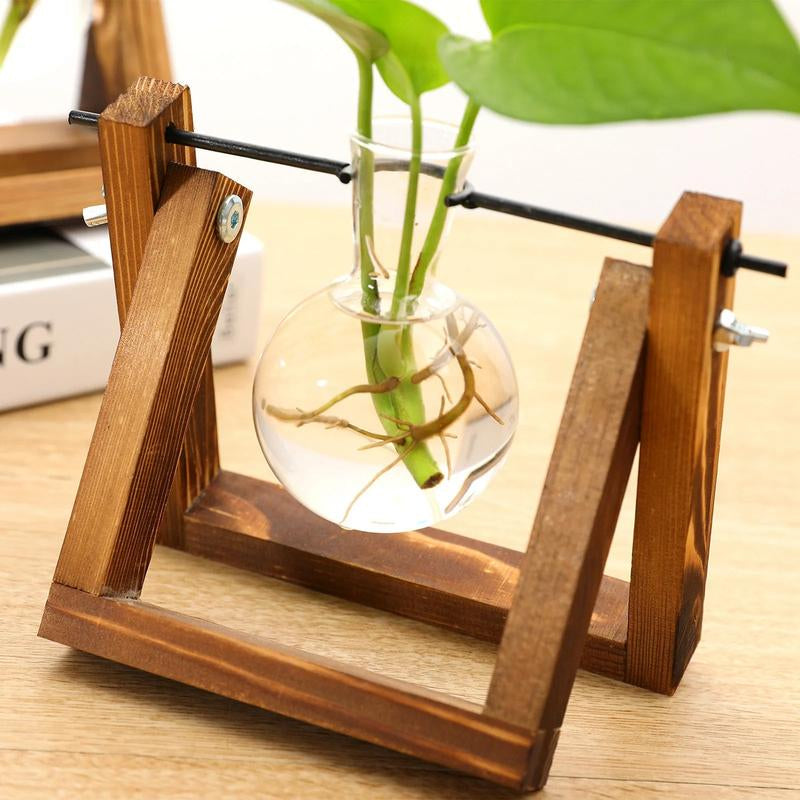 Vintage Glass Terrarium for Hydroponic Planting with Wooden Stand