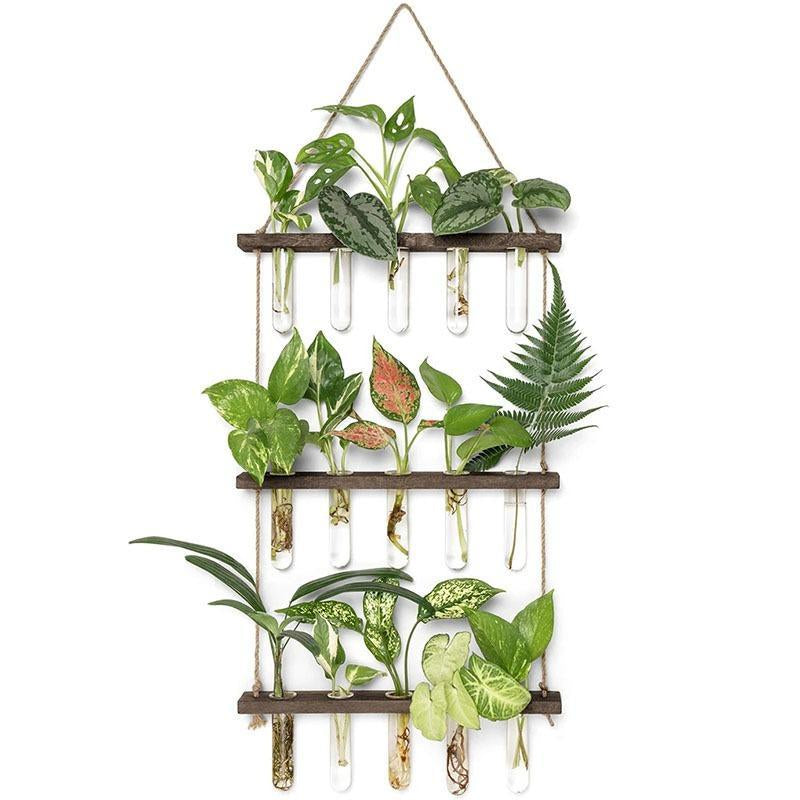 Three-Tier Hanging Plant Propagation Station, Glass Terrarium Vase, Decorative Wall Hanging Planter for Home, Office, and Garden