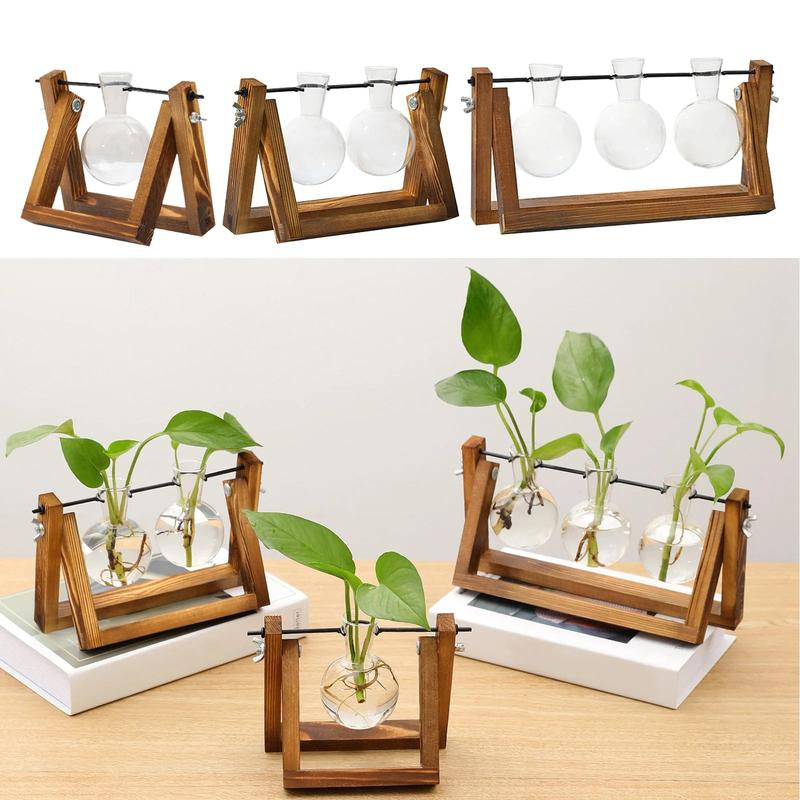 Vintage Glass Terrarium for Hydroponic Planting with Wooden Stand